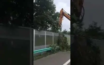 Baum Trimmer mit Saw2