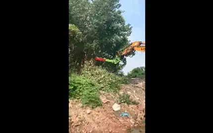Baum Trimmer mit Saw1