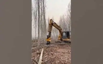 Bagger-Greifer-Säge